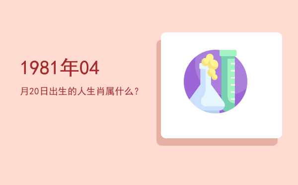 1981年04月20日出生的人生肖属什么?