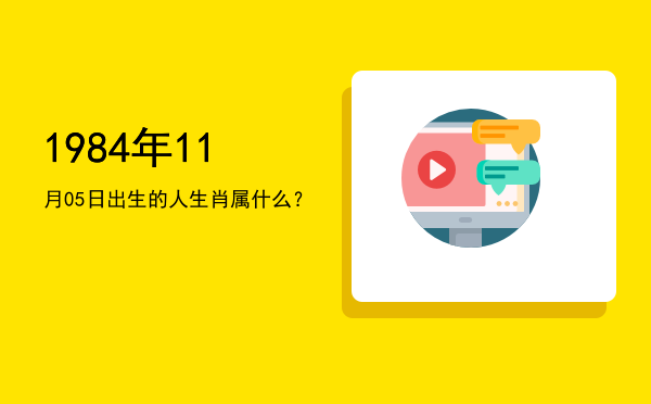 1984年11月05日出生的人生肖属什么?