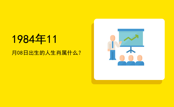 1984年11月08日出生的人生肖属什么?