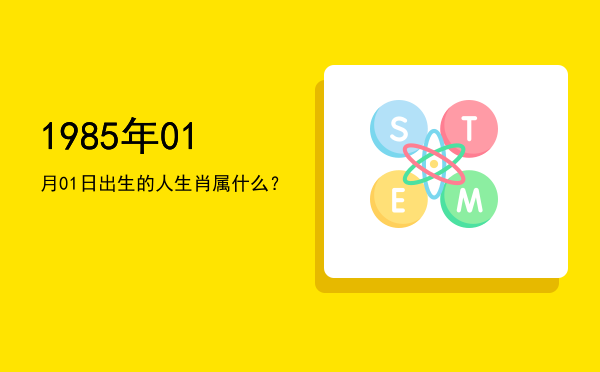 1985年01月01日出生的人生肖属什么?