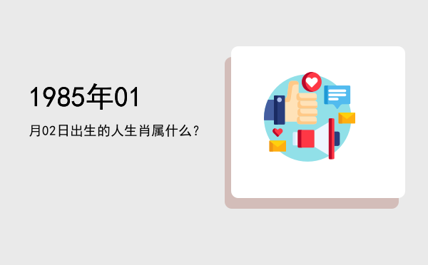 1985年01月02日出生的人生肖属什么?