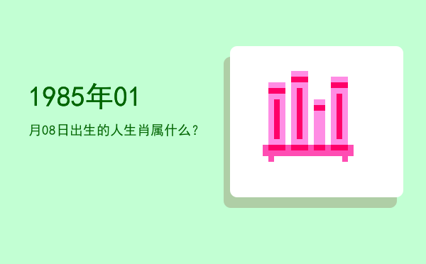 1985年01月08日出生的人生肖属什么?