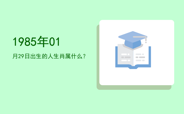 1985年01月29日出生的人生肖属什么?