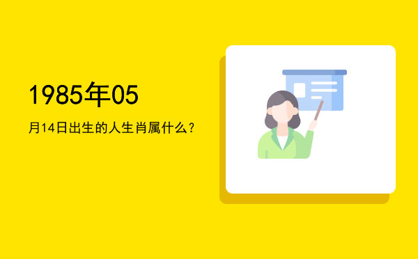 1985年05月14日出生的人生肖属什么?
