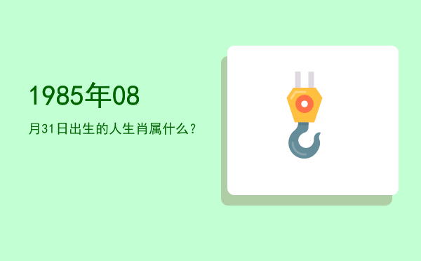 1985年08月31日出生的人生肖属什么?