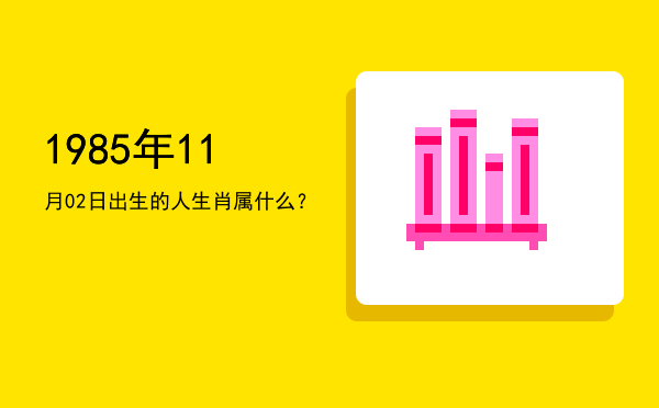 1985年11月02日出生的人生肖属什么?