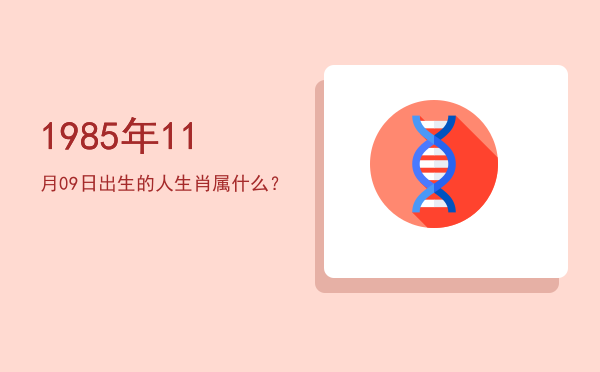 1985年11月09日出生的人生肖属什么?