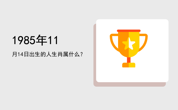 1985年11月14日出生的人生肖属什么?