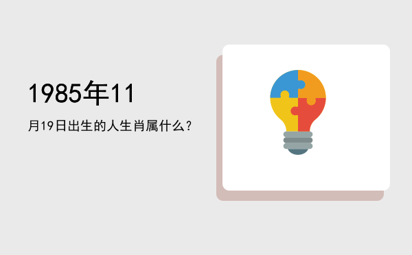 1985年11月19日出生的人生肖属什么?