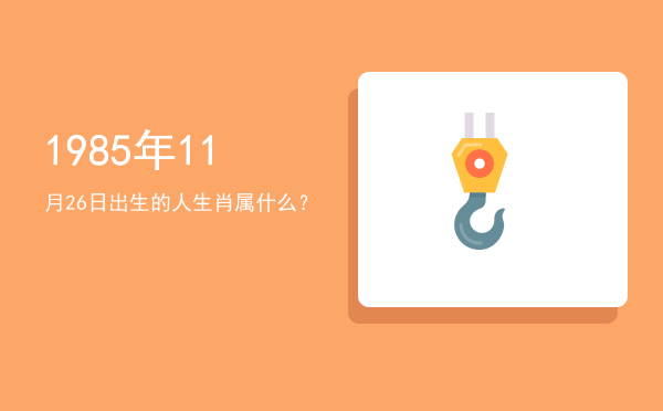 1985年11月26日出生的人生肖属什么?