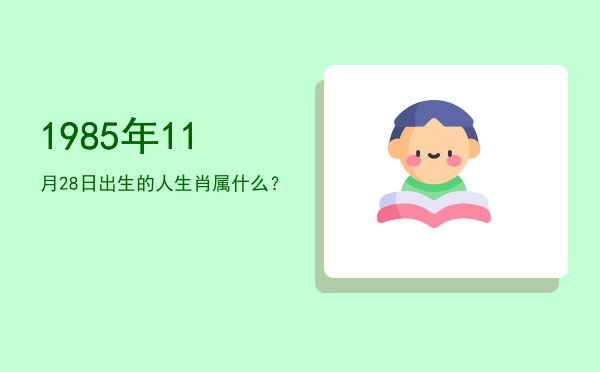 1985年11月28日出生的人生肖属什么?