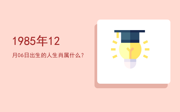 1985年12月06日出生的人生肖属什么?