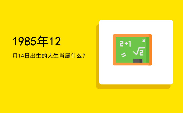 1985年12月14日出生的人生肖属什么?