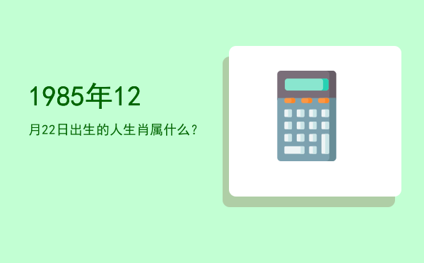 1985年12月22日出生的人生肖属什么?