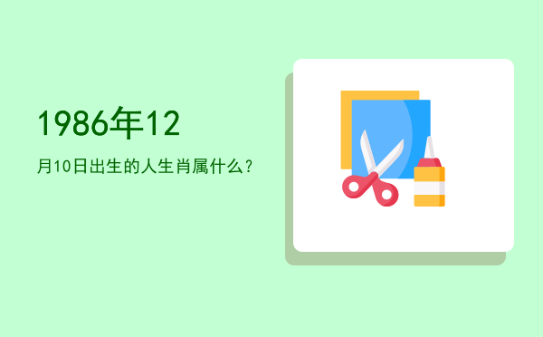 1986年12月10日出生的人生肖属什么?