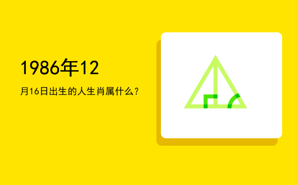 1986年12月16日出生的人生肖属什么?