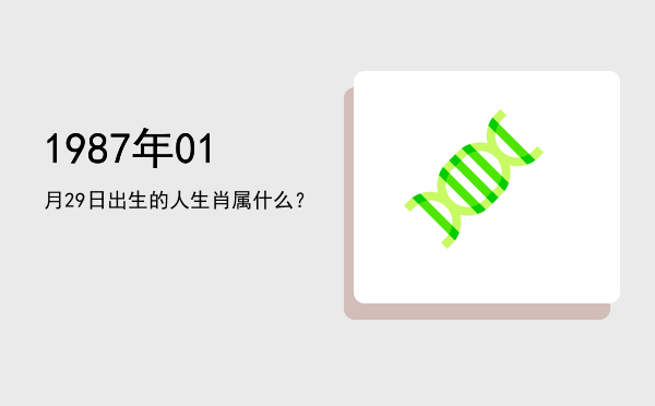 1987年01月29日出生的人生肖属什么?