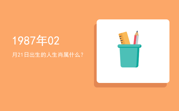 1987年02月21日出生的人生肖属什么?