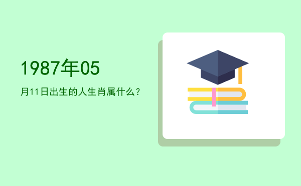 1987年05月11日出生的人生肖属什么?