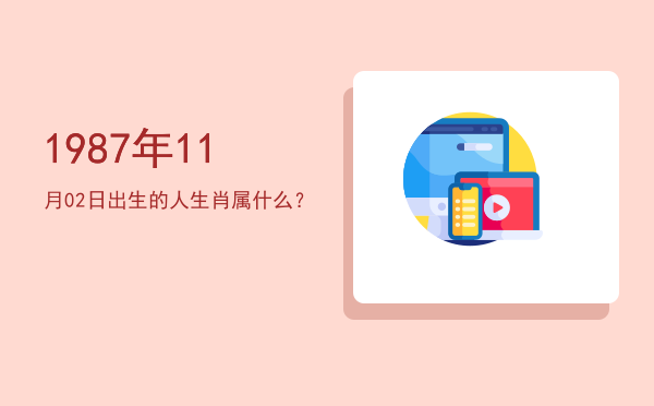 1987年11月02日出生的人生肖属什么?