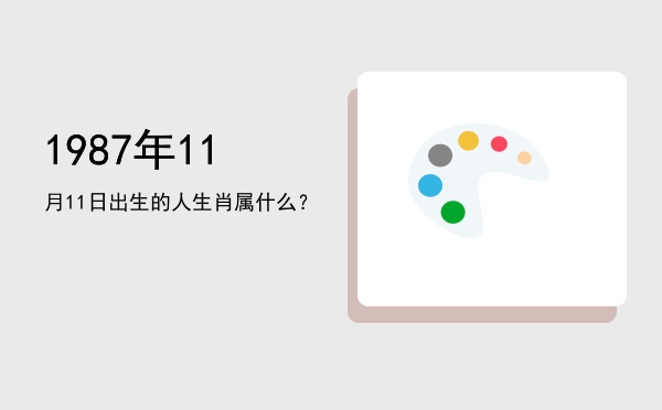 1987年11月11日出生的人生肖属什么?