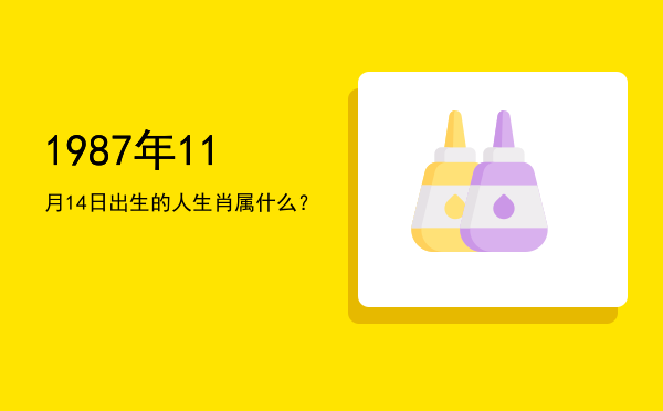 1987年11月14日出生的人生肖属什么?