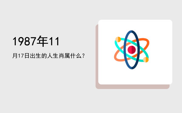 1987年11月17日出生的人生肖属什么?