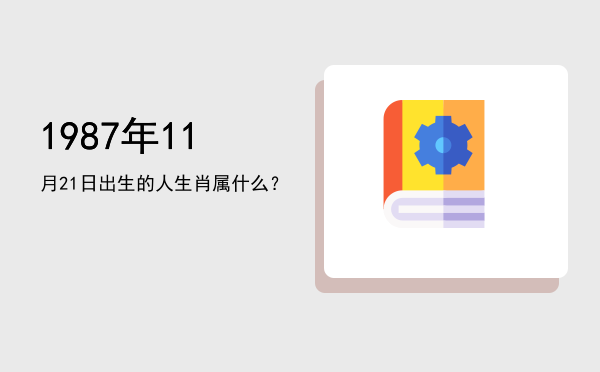 1987年11月21日出生的人生肖属什么?