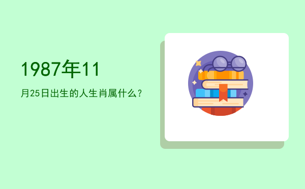 1987年11月25日出生的人生肖属什么?