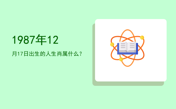 1987年12月17日出生的人生肖属什么?