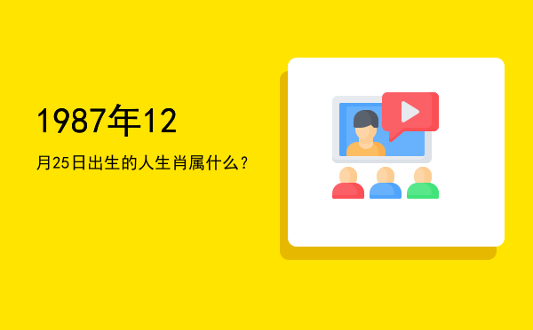 1987年12月25日出生的人生肖属什么?