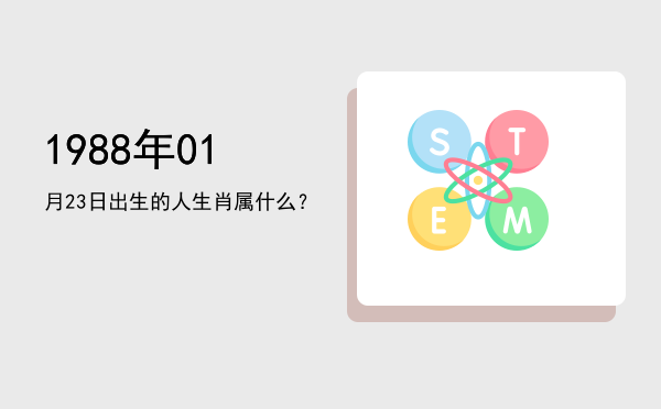 1988年01月23日出生的人生肖属什么?
