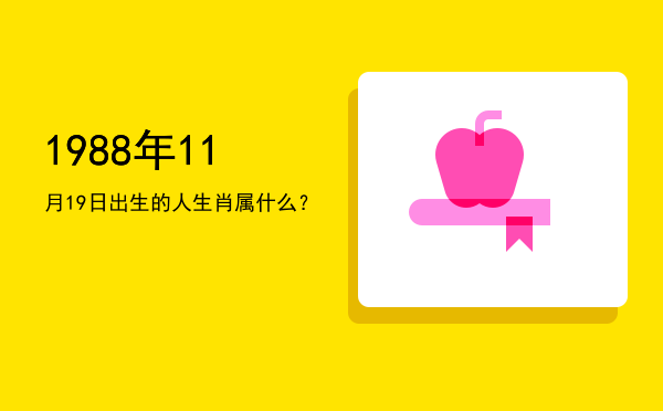 1988年11月19日出生的人生肖属什么?