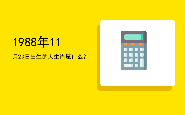 1988年11月23日出生的人生肖属什么?