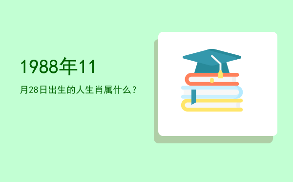 1988年11月28日出生的人生肖属什么?