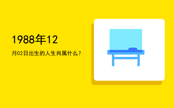 1988年12月02日出生的人生肖属什么?