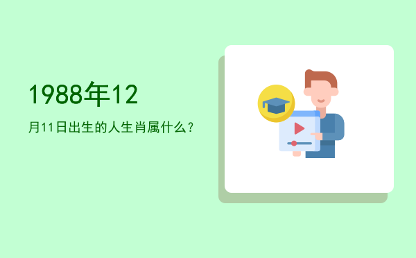 1988年12月11日出生的人生肖属什么?