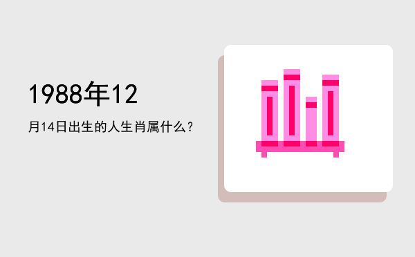 1988年12月14日出生的人生肖属什么?