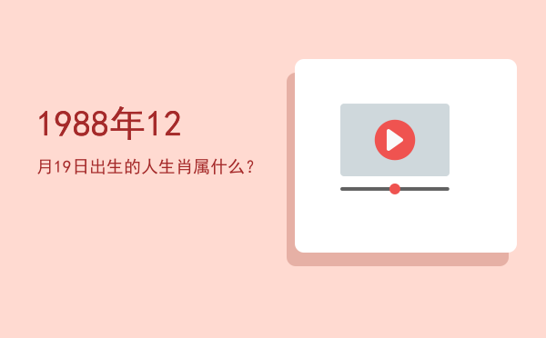 1988年12月19日出生的人生肖属什么?