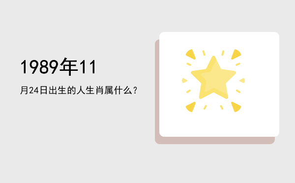 1989年11月24日出生的人生肖属什么?