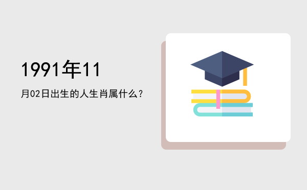 1991年11月02日出生的人生肖属什么?