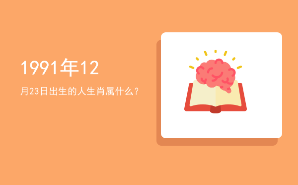 1991年12月23日出生的人生肖属什么?