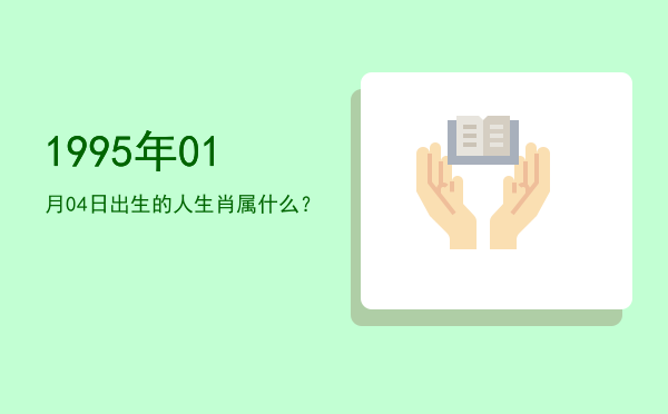 1995年01月04日出生的人生肖属什么?