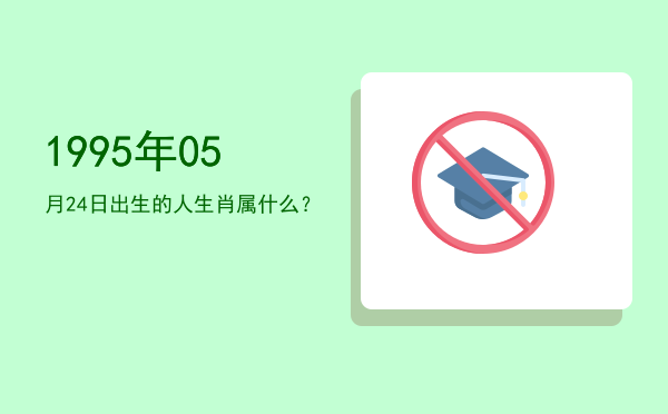 1995年05月24日出生的人生肖属什么?