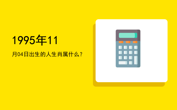 1995年11月04日出生的人生肖属什么?