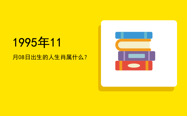 1995年11月08日出生的人生肖属什么?