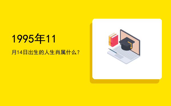 1995年11月14日出生的人生肖属什么?