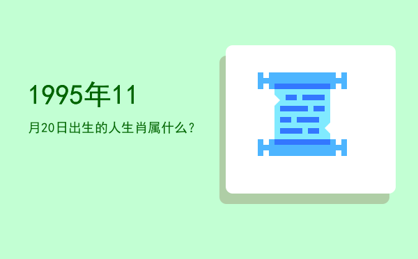 1995年11月20日出生的人生肖属什么?