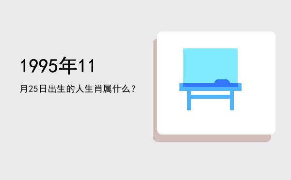 1995年11月25日出生的人生肖属什么?