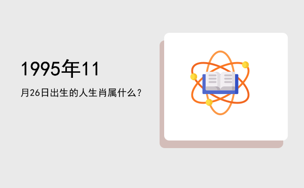 1995年11月26日出生的人生肖属什么?